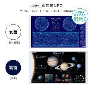 fXN}bg  ̎q j̎q 89cm wK 킢 LN^[}bg |P sJ`E  n` bN} N~ fRv IA XzCg  F n} 