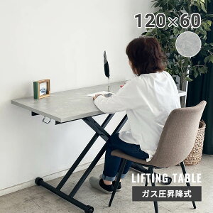 yP10{5OFFN[|zzIz~e[u RpNg 120cm ~e[u LX^[t _CjO rOe[u  KX ~fXN iK ~ ɋ _Cj