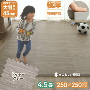 yP10{eN[|zzIzWCg}bg 4.5 18mm ؖ ؖڒ 唻  tA}bg vC}bg O t[O h h R g[Ή t[Jbg ` 킢