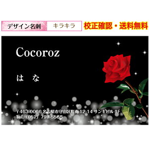 whxLL  h 쐬 VbvJ[h C[WZ [  100 f[^ۏႠ pIׂ fUCh dm-kirakira-y009