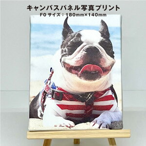 yA[gplzIWi A[g{[h ʐ^ 邾 ȒP YɎdオ܂ LoXpl TCY F0i180mm×140mmj      I[_[Ch tHgpl 