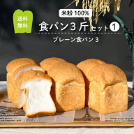 グルテンフリー 米粉パン 食パン 3斤 送料無料 冷凍 （食パン3斤セット1）