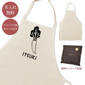 yꖳz Gv | |Pbgt 卪  daikon  ObY  ʔ Mtg v[g Y fB[X i` LoXn uh bsO RRR