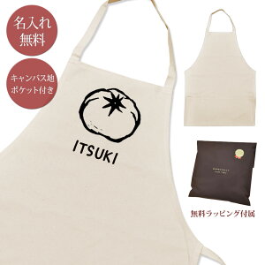 yꖳz Gv | |Pbgt g}g tomato  ₳ ΉF xW^u H ObY  ʔ Mtg v[g Y fB[X i` LoXn u