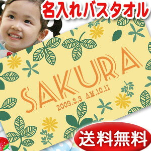 oYj  oX^I a |bvfUC gK[f O v[g j̎q ̎q xr[ Ԃ   唻 ^I ^IPbg {  