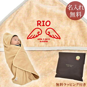 y[ cƓoׁz oYj  O  t[ht ԂɗD 100% { ^I 킢 Vg̉H fUC Vg̉HA j̎q ̎q Ԃ xr[ V