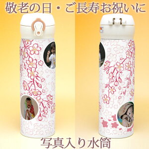 hV̓ ʐ^   ʐ^萅 T[X 500ml ^fMP[^C}O }C{g ̓ ̓  ΂  ΂   a Mtg v[g 