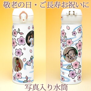 hV̓ ʐ^   ʐ^萅 T[X 500ml ^fMP[^C}O }C{g ̓ ̓  ΂  ΂   a Mtg v[g 