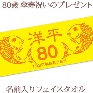 Pj  tFCX^I 33x80cm Pĵ߂łfUC F  ^I O v[g P Pj hV̓ j  Mtg   i 