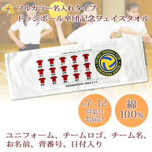 卒団記念品 ドッジボール 卒団 記念品 卒部記念品 【10枚以上購入で1枚3980円】 フルカラー名入れタイプ(背景は白) ドッジボール部 ユニフォーム入り 名前 背番号 日付 団体名 今治製プチフェ