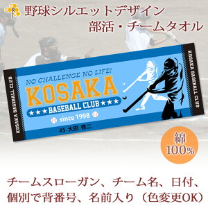 `[^I ^I 싅 (^CvC) LOi y10ȏw13180~z  `[ X[K VGbgfUC v`tFCX^I O 27x70cm {  ^