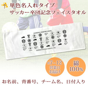 cLOi TbJ[ c LOi LOi y10ȏw12980~z PF^Cv(wi͔) TbJ[ACRfUC O wԍ t c̖ v`tFCX^I 25x70cm 