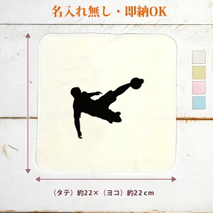 y[ ꖳz c LOi a v[g ^InJ` nh^I X|[cVGbg TbJ[A {[V[g   TbJ[   jq q  ʔ 