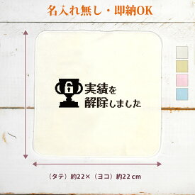 【即納 名入れ無し】 誕生日 プレゼント タオルハンカチ ハンドタオル 実績を解除しました 実績解除 トロフィー アンロック トロコン ゲーム ゲーマー ゲーム好き ドット絵 趣味 おもしろ 面白 ハンカチタオル ミニタオル メンズ レディース 男性 女性 ブランド ココロコ