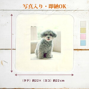 y[ f[^t痂cƓoOKz ʐ^ ^InJ` Y  ^I 22cmx22cm ʐ^vg ybg  L ̎qObY nh^I nJ` ~j^I M