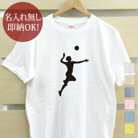 【即納 名入れ無し】 大人用 Tシャツ 誕生日プレゼント スポーツシルエット バレーボールD 排球 趣味 部活 バレーボール部 バレー部 男子 女子 おもしろ 面白 忘年会 余興 景品 メンズ レディース 春夏 メール便送料無料 ブランド 【10枚以上で半額50％off】