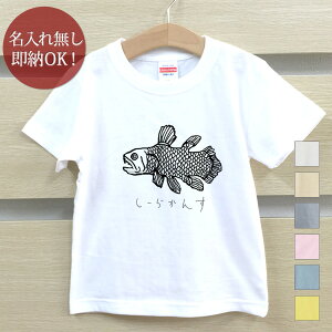 y[ ꖳz LbY xr[ TVc av[g V[JX [C Ñ㋛  ނ C ObY  ʔ YN ] ii j̎q ̎q   t [֑ 