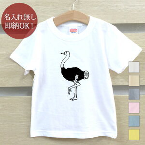 y[ ꖳz LbY xr[ TVc av[g _`E k   ObY  ʔ YN ] ii j̎q ̎q   t [֑ uh RR