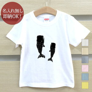 y[ ꖳz LbY xr[ TVc av[g }bRENW ~  C ObY  ʔ YN ] ii j̎q ̎q   t [֑ u