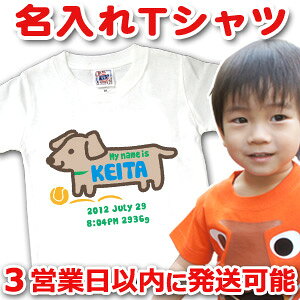 y[z oYj a v[g  ꖳ O  LbY TVc `fUC(zCg)  j̎q ̎q Sj   uh RRR