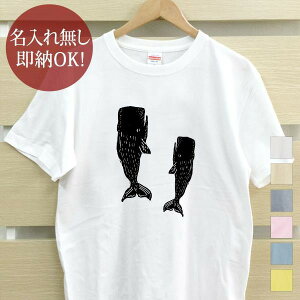 y[ ꖳz lp TVc av[g }bRENW ~ 邭 C̐ C Cb C  Aj} ObY  ʔ YN ] ii Y fB[