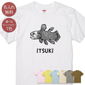  O TVc a v[g V[JX Ñ㋛ [C [C  ނ  ނD  ObY  ʔ  ̓ ̓  v Y fB[X eq Ƒ 