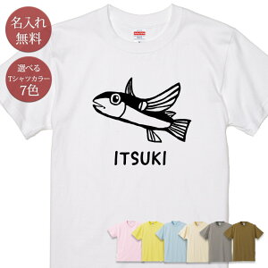  O TVc a v[g grEI Ƃт ы FLYINGFISH  ނ  ނD  ObY  ʔ  ̓ ̓  v Y fB[X eq Ƒ 