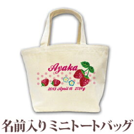 出産祝い 誕生日 プレゼント 名入れ 名前入り キャンバス ランチバッグ ミニトートバッグ テキスタイルデザイン いちご&ドット 女の子 誕生日プレゼント 保育園 幼稚園 バック 百日祝い 100日祝い お七夜 【1枚のみメール便対応】 ブランド ココロコ
