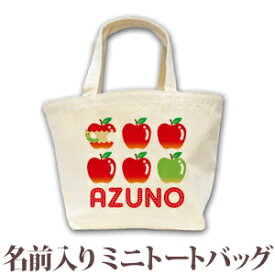 出産祝い 誕生日 プレゼント 名入れ 名前入り キャンバス ランチバッグ ミニトートバッグ ポップデザイン りんご 女の子 誕生日プレゼント 保育園 幼稚園 バック 百日祝い 100日祝い お七夜 【1枚のみメール便対応】 ブランド ココロコ