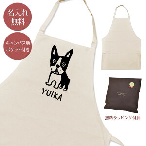 yꖳz Gv | |Pbgt ߂{XgeA  q ^ dog  ObY  ʔ Mtg v[g Y fB[X i` LoXn u