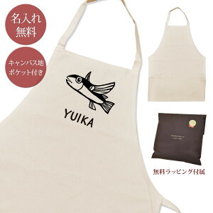 yꖳz Gv | |Pbgt grEI Ƃт ы FLYINGFISH  ނ  ނD  ObY Y fB[X  ʔ i` LoXn uh 
