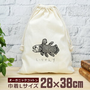 y[ ꖳz В  38×28cm V[JX Ñ㋛ [C [C  ނ  ނD  ObY  ʔ  i` I[KjbNRbg j̎q ̎q w