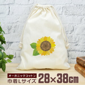 y[ ꖳz В  38×28cm Ђ܂    ObY  ʔ  i` I[KjbNRbg j̎q ̎q w w Z ̓ ̓ uh