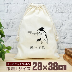 y[ ꖳz В  38×28cm ̖{C {[_[R[̖{C {[_[R[   tXr[ ObY  ʔ  i` I[KjbNRbg j̎q 