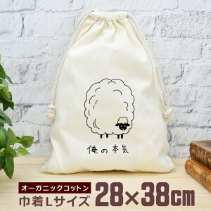 y[ ꖳz В  38×28cm ̖{C r̖{C r Ђ V[v  r ObY  ʔ  i` I[KjbNRbg j̎q ̎q w w Z 