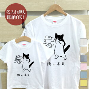 y[ ꖳz eq yAbN yAtVc TVc eqyA2Zbg eqR[f 킢 NR[f [ ̖{C n`L ] LObY lR  j̎q ̎q LbY }