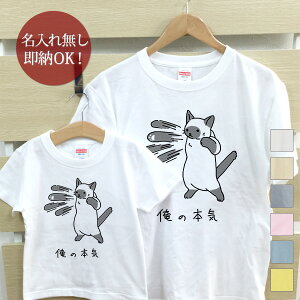 y[ ꖳz eq yAbN yAtVc TVc eqyA2Zbg eqR[f 킢 NR[f [ ̖{C VL ] LObY lR  j̎q ̎q LbY }}