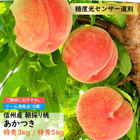 桃 あかつき 特秀3kg 特秀5kg 贈答【2024年7月下旬より順次発送】長野県産 信州産 果物 フルーツ もも 信州 長野県 朝どり 産地直送 お中元 ギフト 送料無料 ※クール便