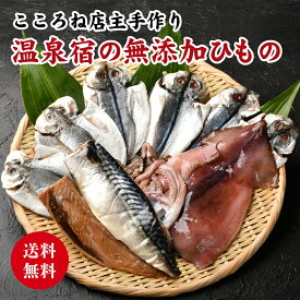 無添加 天日干し 干物 セット ひもの4種9枚 伊豆 伊東 加工 さば みりん干し アジ イカ一夜干し 減塩 個包装 内祝い お返し 贈答用 母の日 プレゼント ギフト 送料無料 訳あり かご 冷凍 おつまみ 詰め合わせ お礼 誕生日 キャンプ 燻製 スモーク BBQ 贈り物 取り寄せ