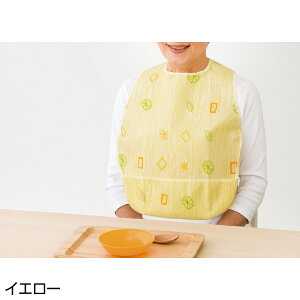 { Hp  Gv pi pߗ  hV̓