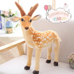 ʔO ObY v[g j ʂ VJƑ  A VJ ʂ   ʂ