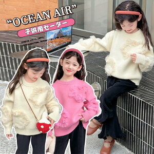 q jbg Z[^[ LbY P[ujbg bNlbN ^[glbN j̎q ̎q  I[o[TCY Vv 킢 tH~ g NX}X a v[g  