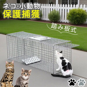 ߊl L̕ی ߊl SȒPD݌v ǔLی TNR sD ߊlJS ی ƒ؉ Qb΍ CmVV AiO} ^kL nNrV ACO} _앨ی