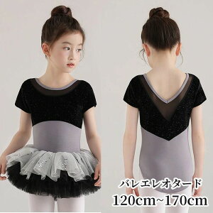 oG I^[h oGI^[h ̎q  XJ[gt q qp qTCY LbY WjA _X ̑ oGpi V̑ K bX Xe[Wߑ \ o[i