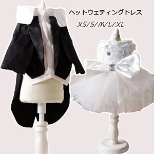  ybgp EFfBOhX ^LV[h ybg̕ tH[}hX@[Xs[X L lR  RX`[ L RXvߑ ʐ^ Be ϐgybgpi  j