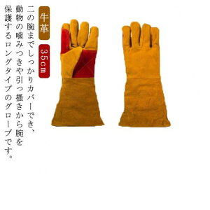 ybgO[u O ݂h~ ~  L ܐ؂ ঒  35cm bt ϋv v O[u L   X gg  ybg hn ˂hh~ C菝h~ 