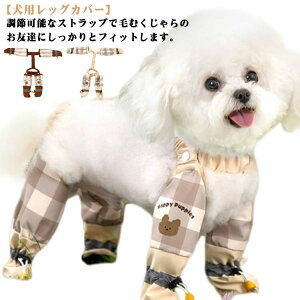 o pbOJo[ Cpc o hbOEFA pu[c ~  Xy_[tppc  h Ol{pc ی h~ ~J U ߉\ 