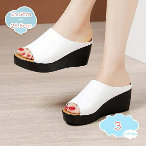  T_ fB[X C  傫TCY T{ V[Y EFbW\[ nCq[ ₷ r q[ 6cm y  ~[T_ ɂȂ ~ p  