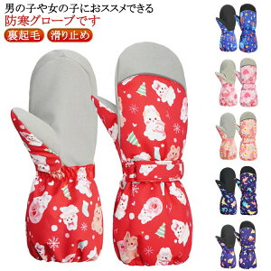 Xm[O[u ~g^Cv  qp j̎q ̎q V XP[g h c ۈ牀 ~ ct ʉ N XL[O[u LbY ȓ Xm{[ ʊw AEghA EC