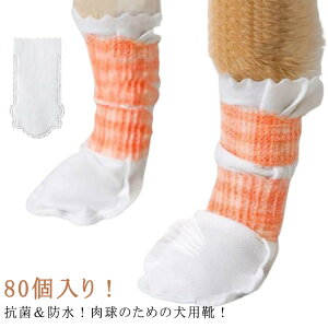 ̌C ĝ ̃V[Y 80i40jZbg hbOu[c sDz _炩 pC C ybg  Jo[ C Jo[ U ho h ybgC ی ی h~ ĝău